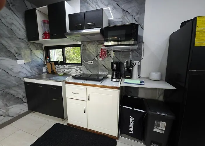 Apartment Flatbirds Beautiful Small San Jose Pinilla